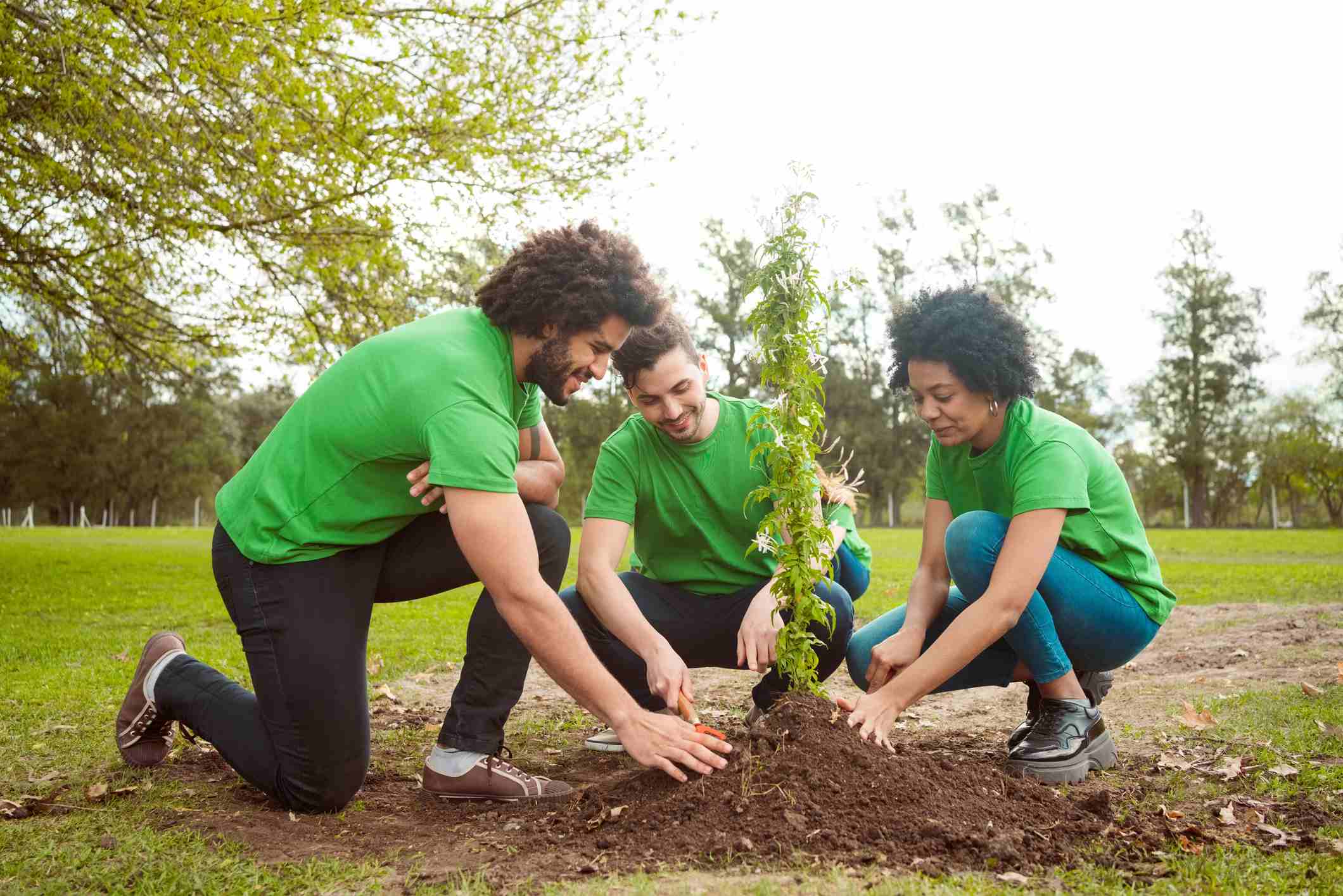 volunteers-planting-in-public-park-how-to-get-noticed-by-upper-management