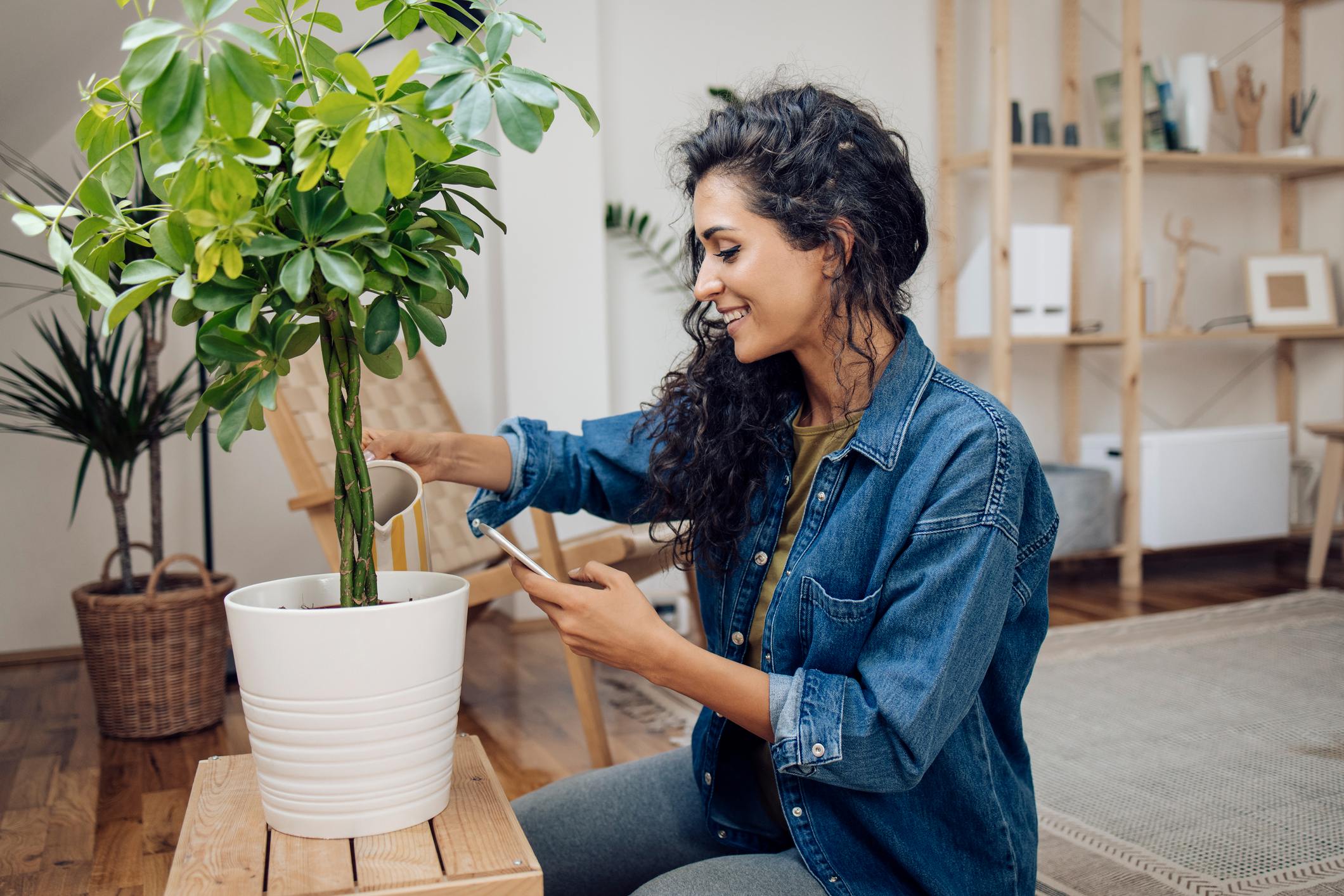 woman-putting-water-to-her-plants-what-is-the-two-minute-rule